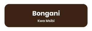 Bongani-Kwamsibi