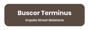 Impala-Street-Malelane